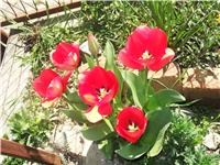 815cdac6-Picture 007.jpg